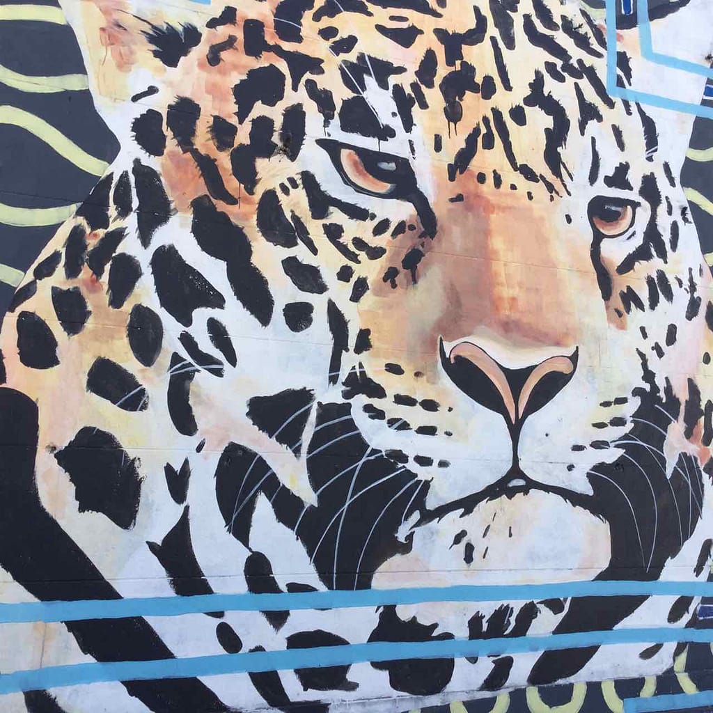 Buenos Aires Street Art, Artist: Maze Warrior, iPod-Foto