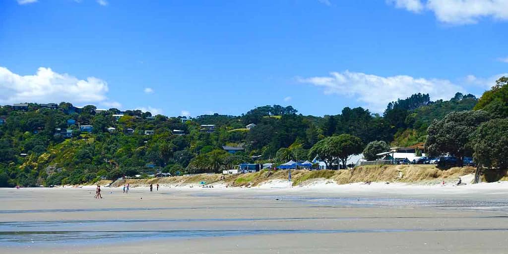 Waiheke Island, Onetangi Beach, Neuseeland, @PetersTravel