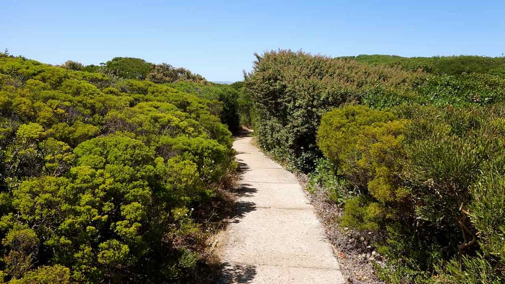 Hermanus Highlights, Cliff Path