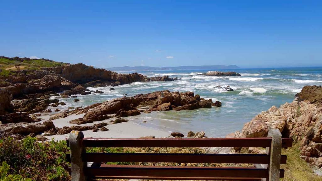 Hermanus Highlights, Cliff Path mit Meer und Bank, nah