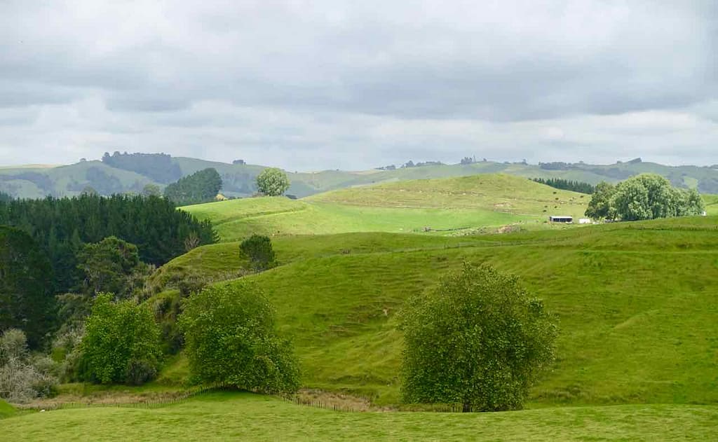 Hobbingen / Hobbiton, Landschaft Neuseeland ©petersTravel