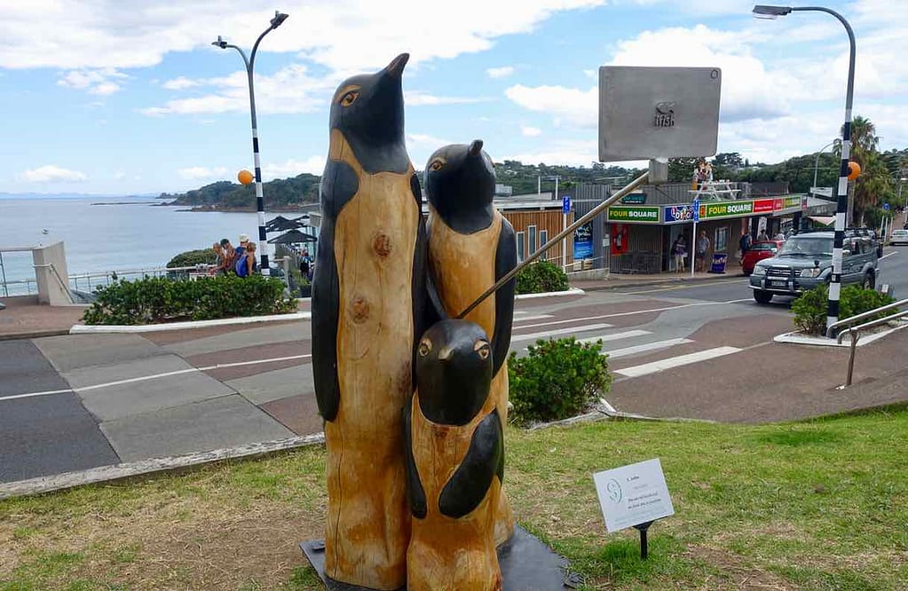 Waiheke Island, Oneroa, Selfie-Pinguine, Neuseeland, @PetersTravel