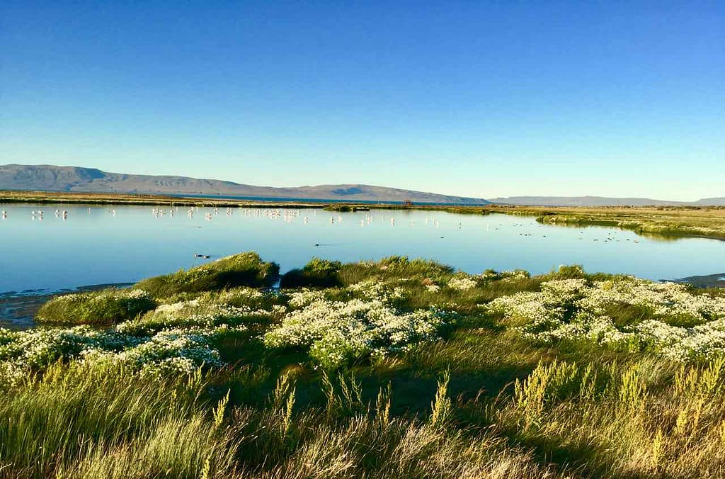 El Calafate Patagonien, Argentinien Lagune Nimez