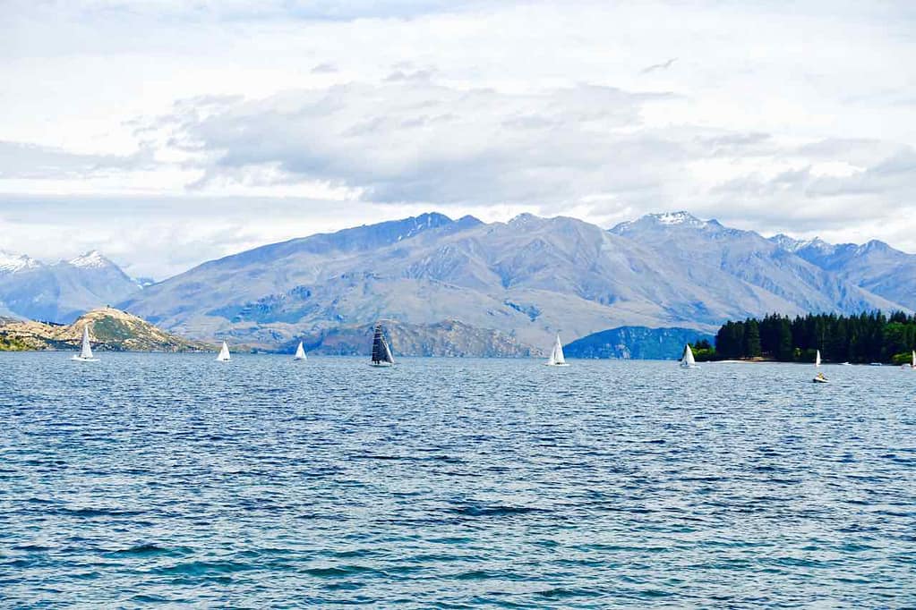 Wanaka Südinsel Neuseeland Sehenswürdigkeiten Lake Wanaka mit Segelbooten, ©PetersTravel
