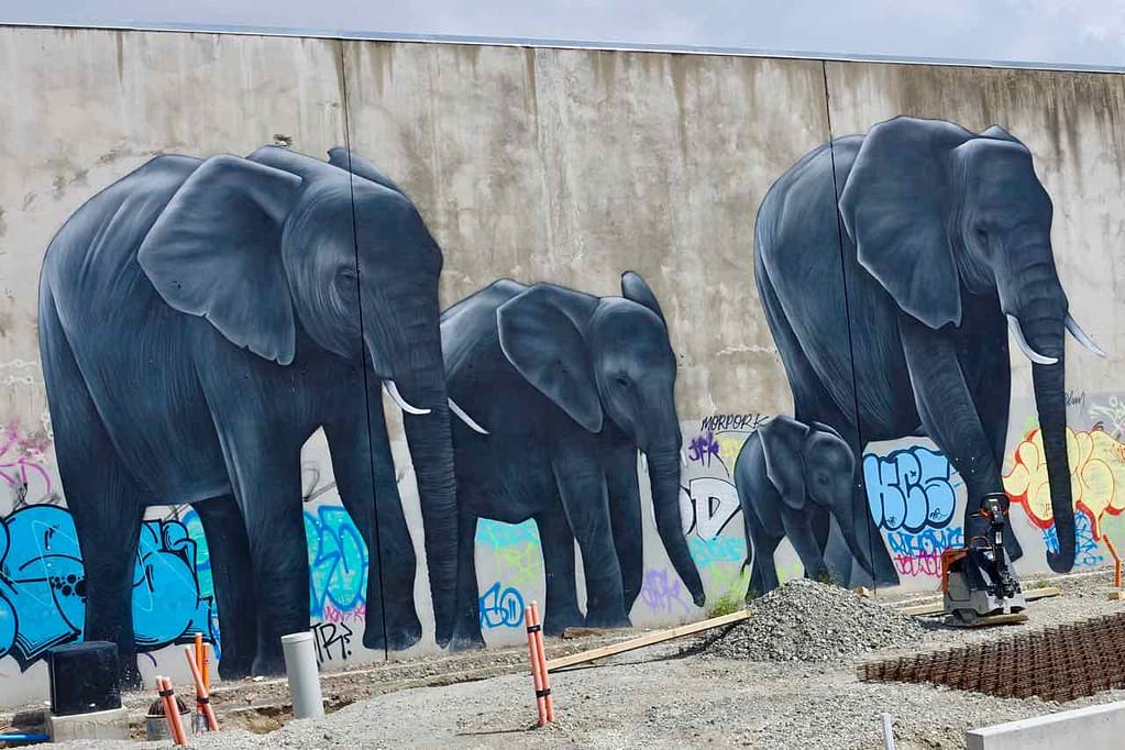 Christchurch Sehenswürdigkeiten Tipps: Streetart Neuseeland @PetersTravel