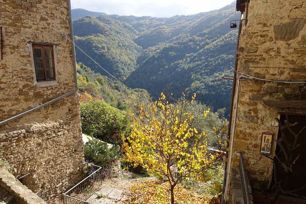 Sehenswürdigkeiten in Ligurien Apricale, Ausblick mit Baum
