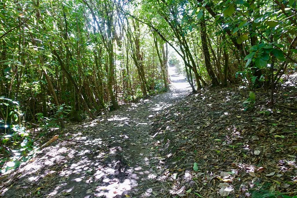 Picton Neuseeland Snout Track Copyright Peter Pohle PetersTravel