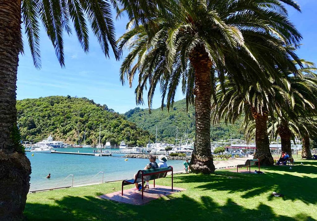 Picton Neuseeland Hafenpromenade mit Palmen Copyright Peter Pohle PetersTravel