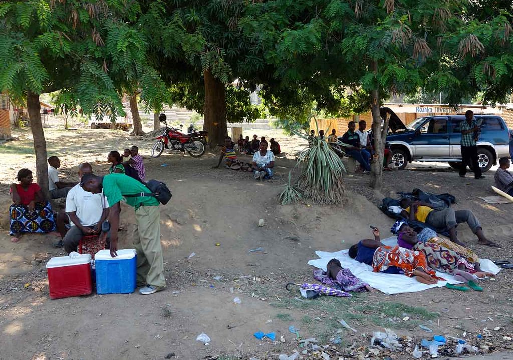 Malawi. Mushroom Farm, Rastende an Straße