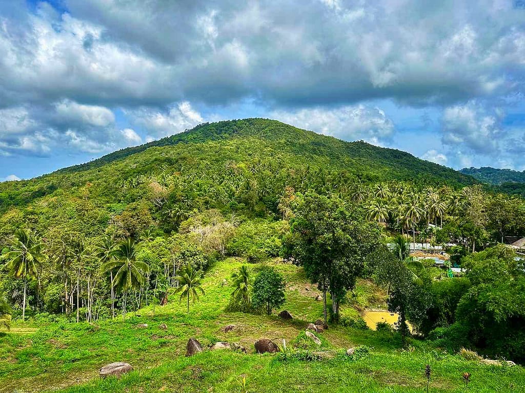 Bewaldeter Hügel von Koh Pangan © PetersTravel Peter Pohle