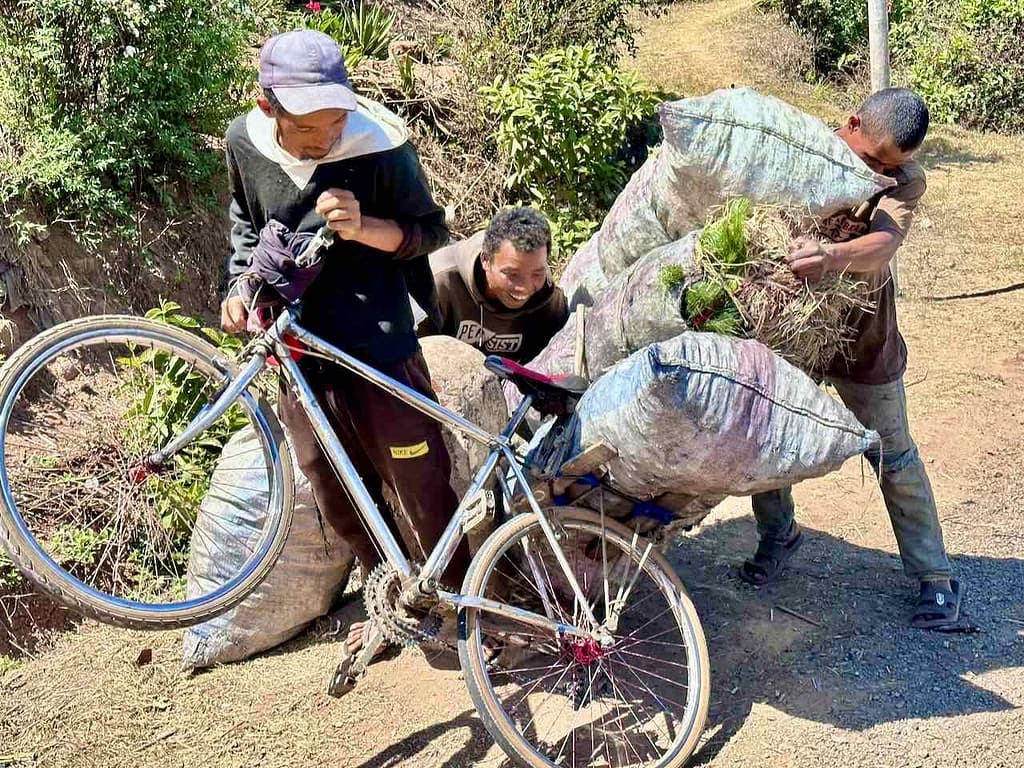 Madagassen beim Beladen eines Fahhrrads in Madagaskar 