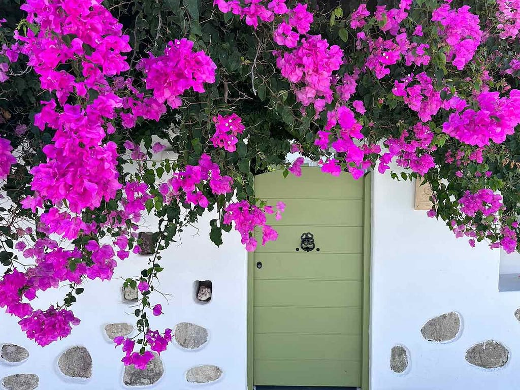 Hauseingang mit Bougainvillea © PetersTravel Peter Pohle