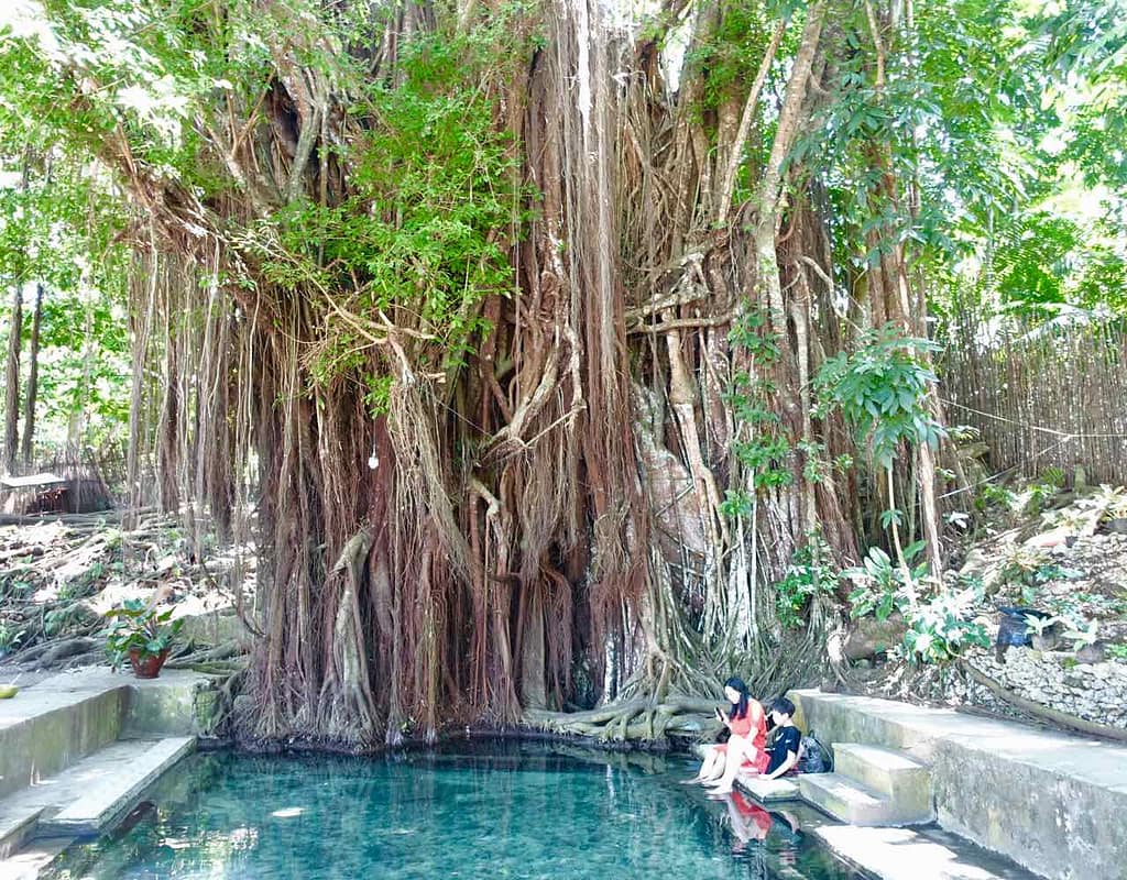 Siquijor Island, Old Enchanted Balete Tree und Fish-Spa
