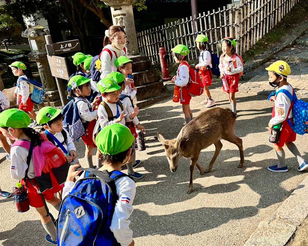 Schulklasse mit Reh im Nara Park, Kyoto