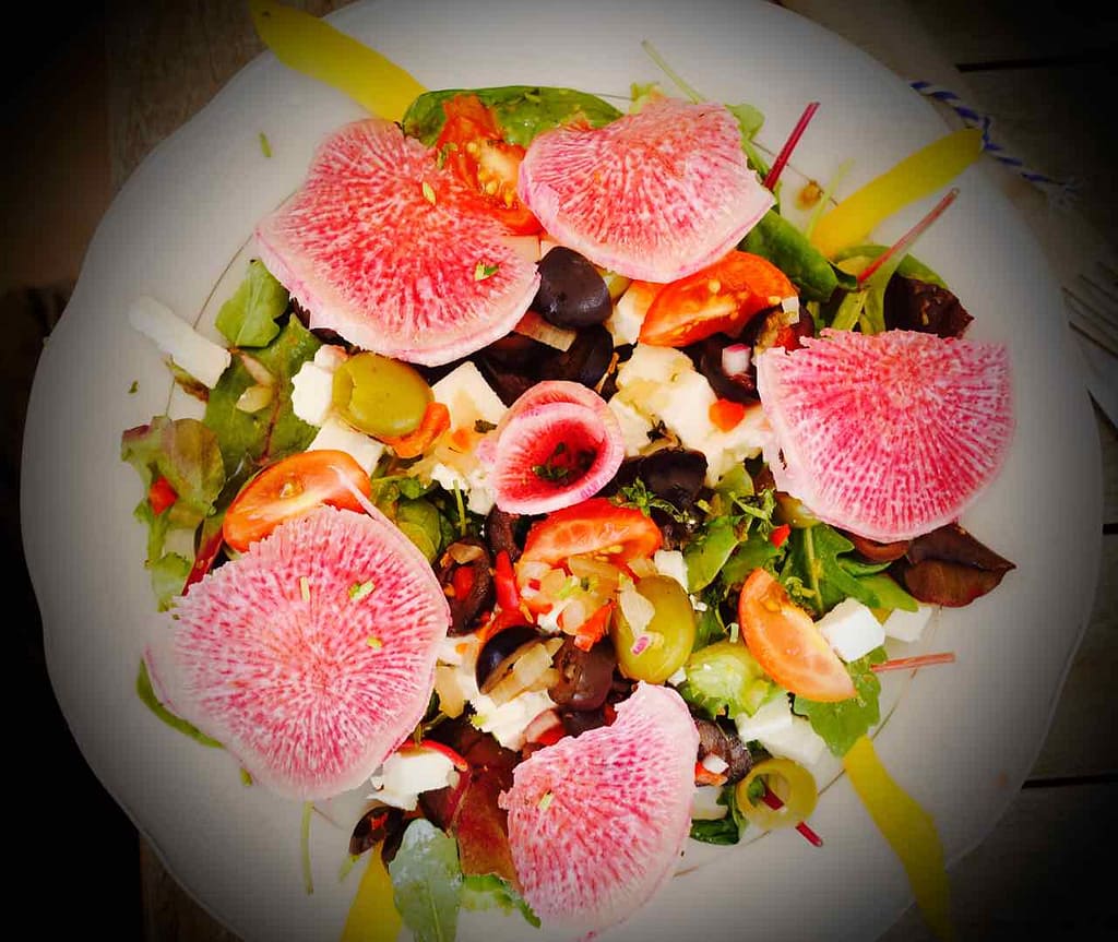 Restaurants Willemstad: Haussalat im Hofi Cas Cora Curacao Copyright Peter Pohle