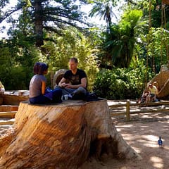 Kapstadt, Companys Garden, Ruhezone vor dem Cafè