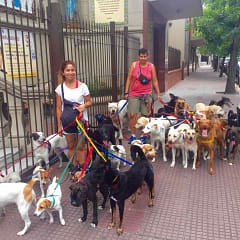 Buenos Aires Hunde, Titelbild