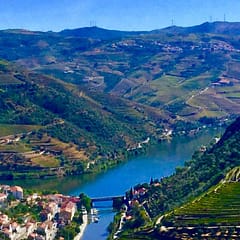 Douro Valley: Douro + Weinberge, Titel 1 © PetersTravel