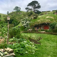 Hobbingen / Hobbiton, Haus mit Gemüse, Titelbild 1 Neuseeland ©PetersTravel