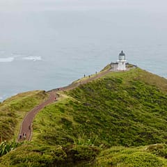 Paihia Tipps, Cape Reinga mit Leuchtturm Copyright Peter Pohle PetersTravel