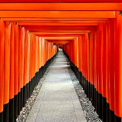 Torii im Fushimi Inari-Taisha Shrine in Kyoto