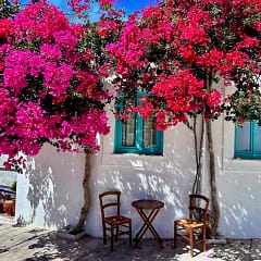 Insel Paros, Idyll vor einem Café in Lefkes © PetersTravel Peter Pohle-min
