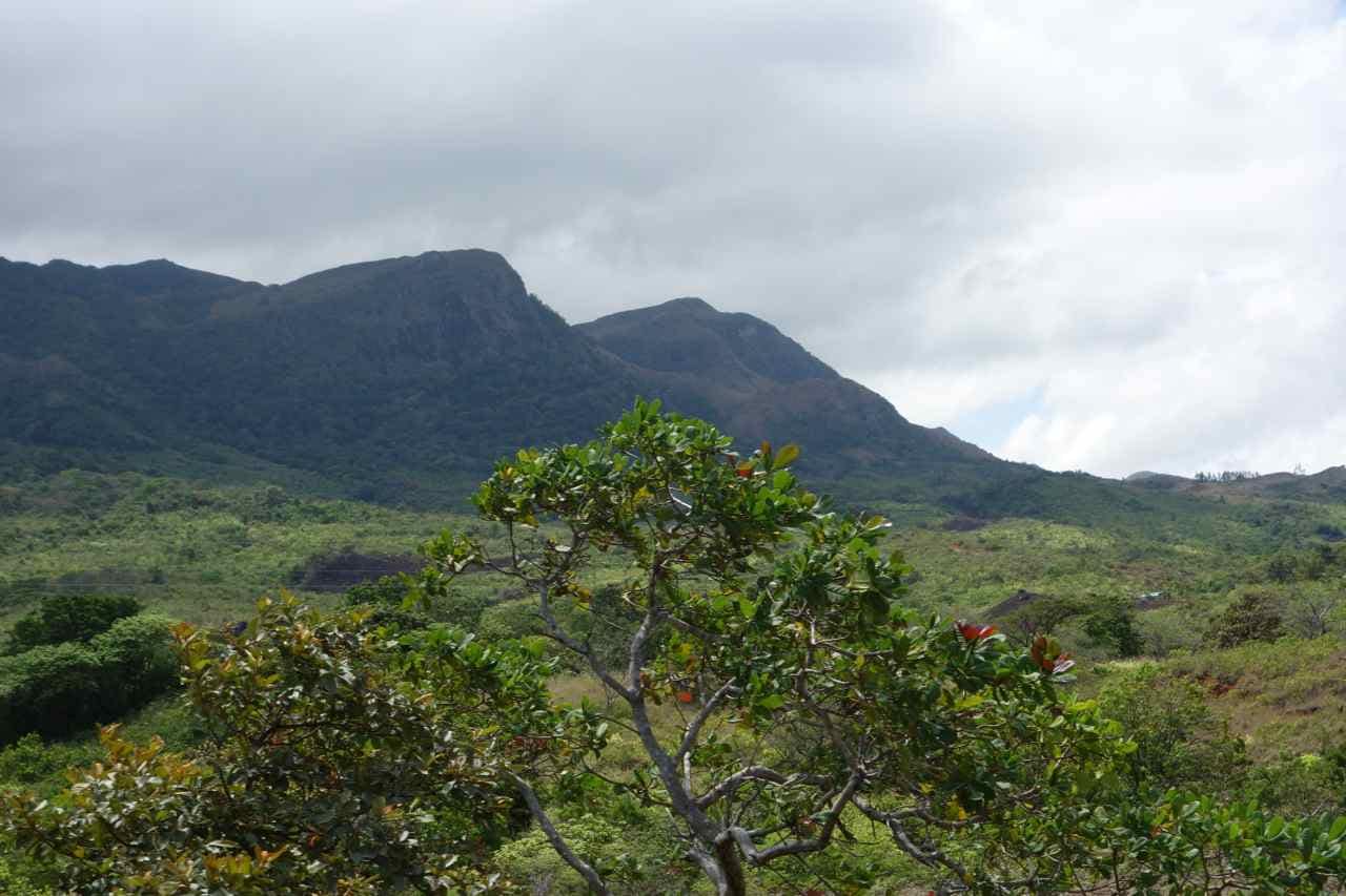 Panama, Landschaft zwischen Santa Fé und Santiago