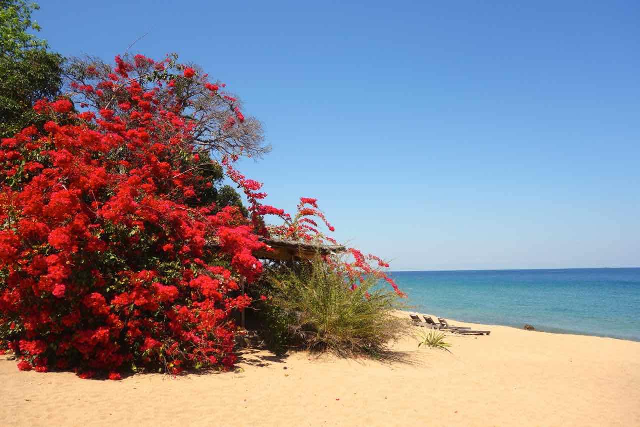 Malawi, Likoma, Mango Drift, Bar
