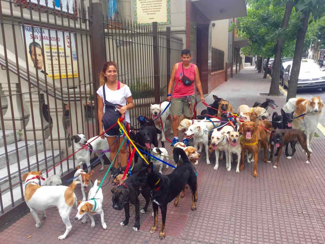 Buenos Aires Hunde, Titelbild