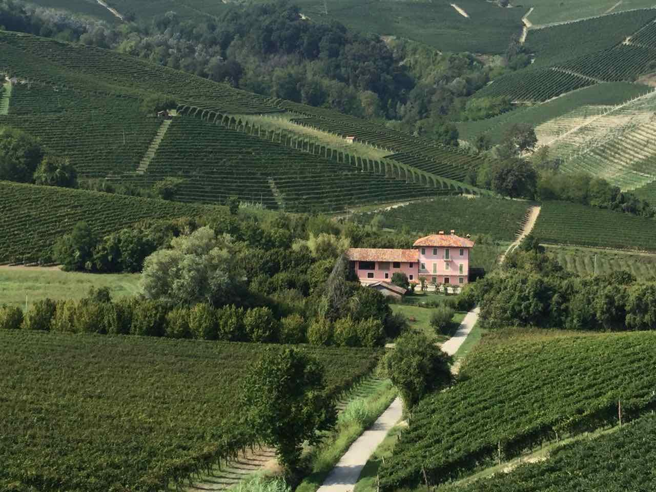 Piemont, Weinberge bei Barolo, Copyright Peter Pohle PetersTravel