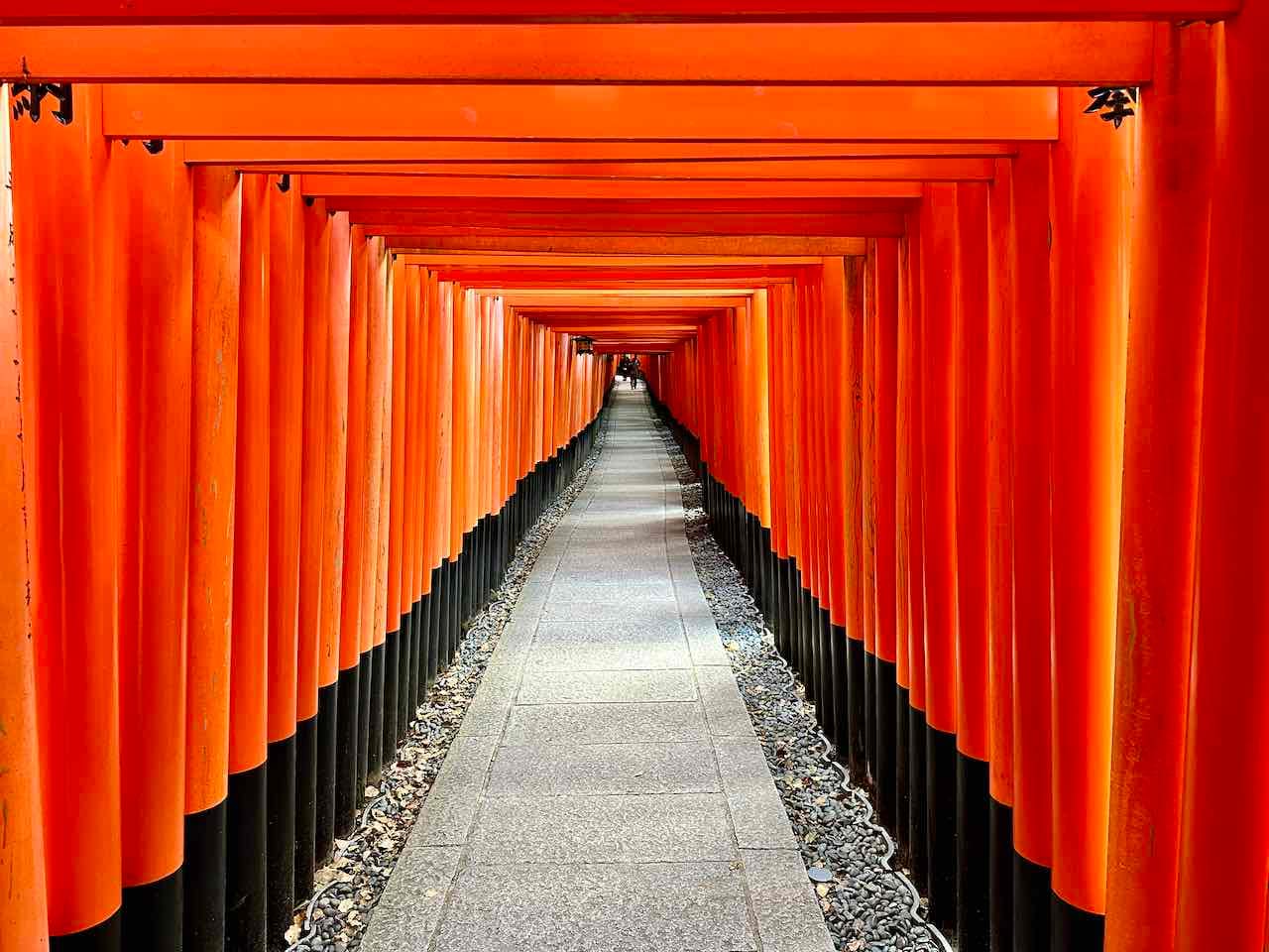 Torii im Fushimi Inari-Taisha Shrine in Kyoto
