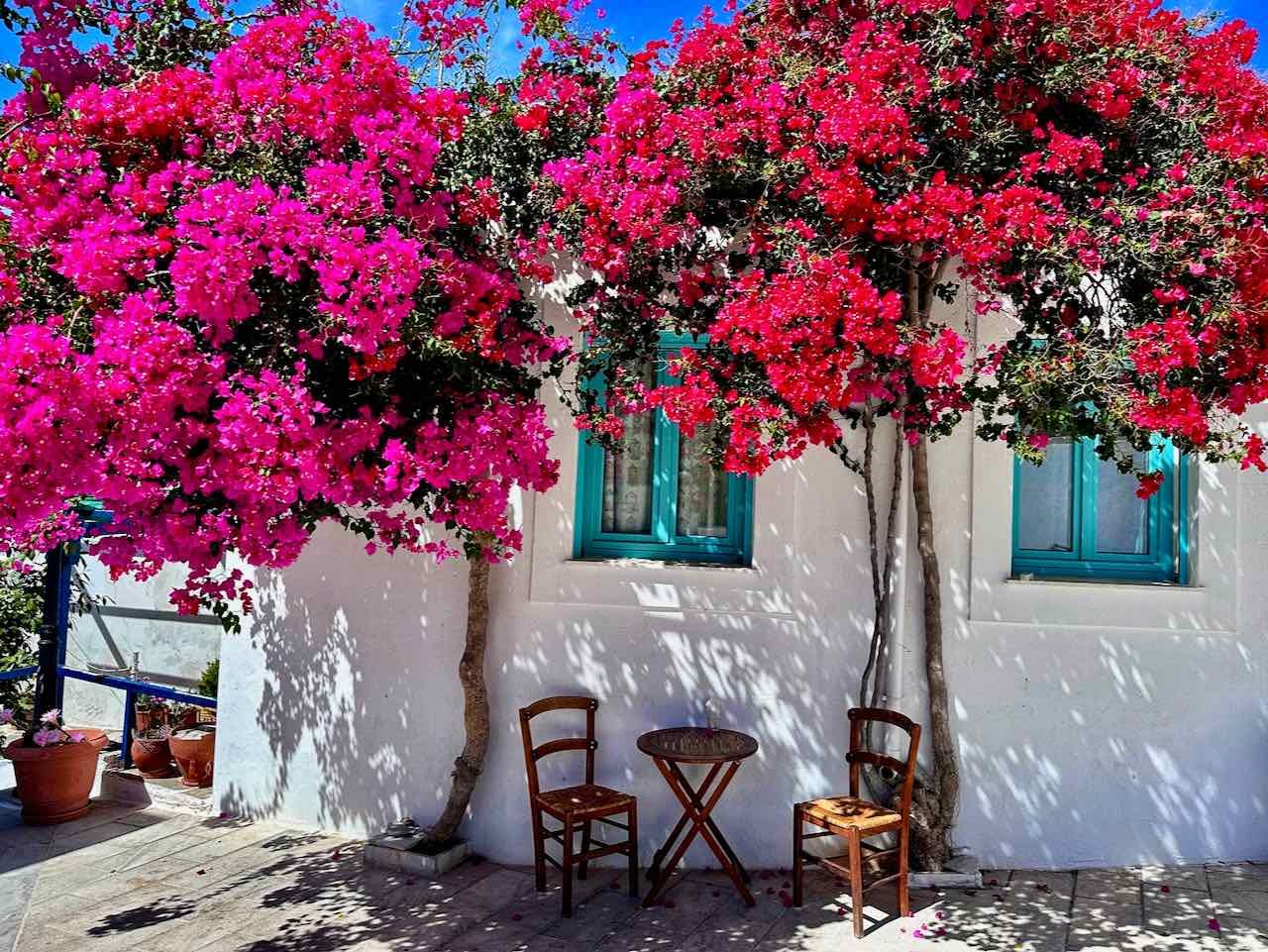 Insel Paros, Idyll vor einem Café in Lefkes © PetersTravel Peter Pohle-min