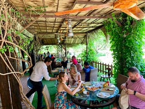 Agrotourismus Dar Zaghouan