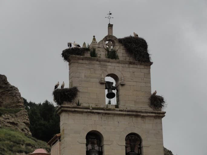 akobsweg, Storchennester in Belorado