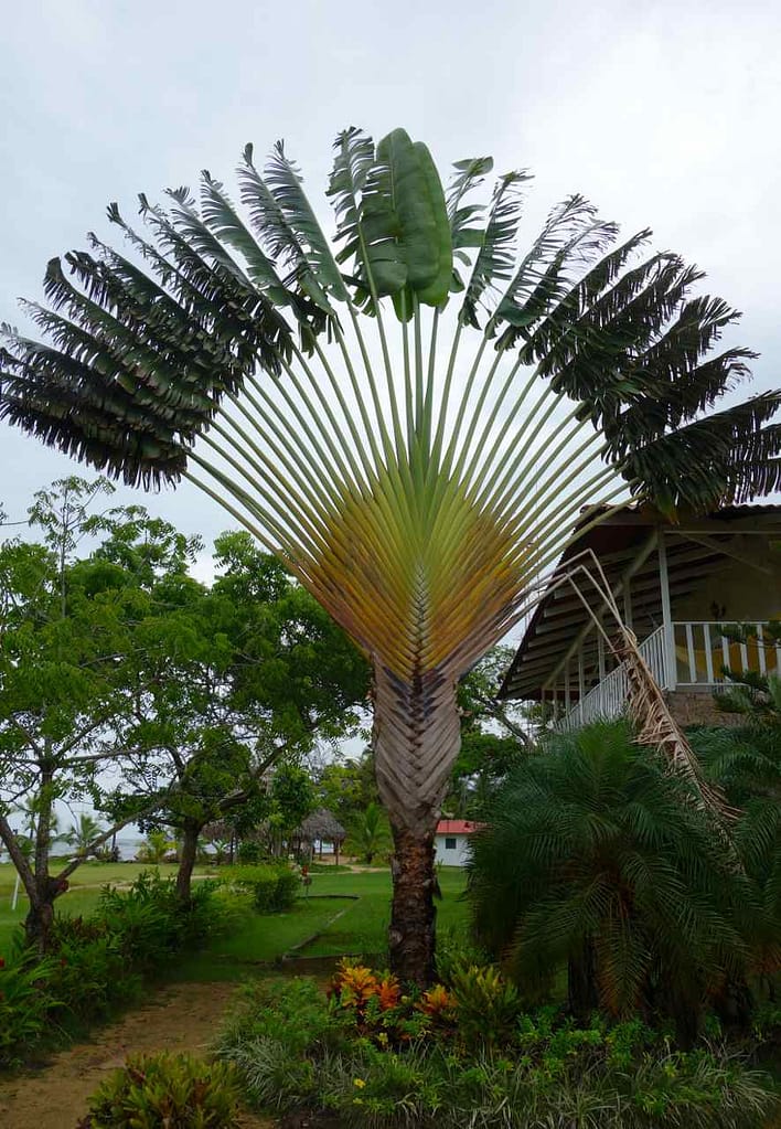 Bocas del Toro, Mit dem Bus von Colon in den Norden…