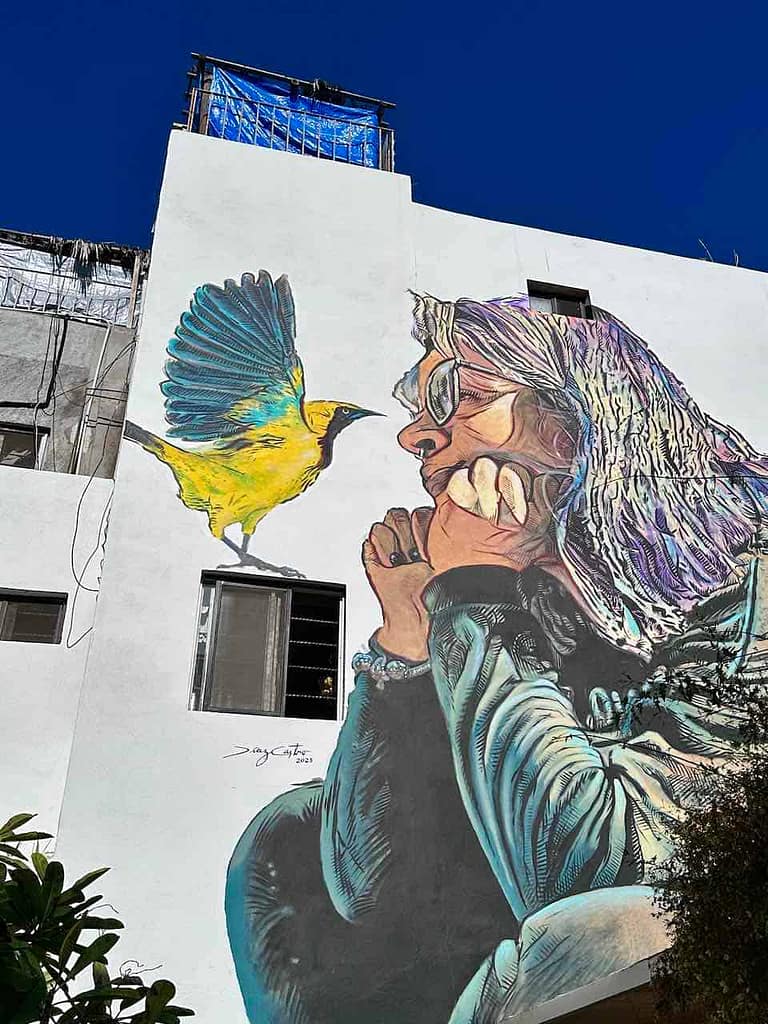 Streetart in La Paz, Baja California © PetersTravel Peter Pohle